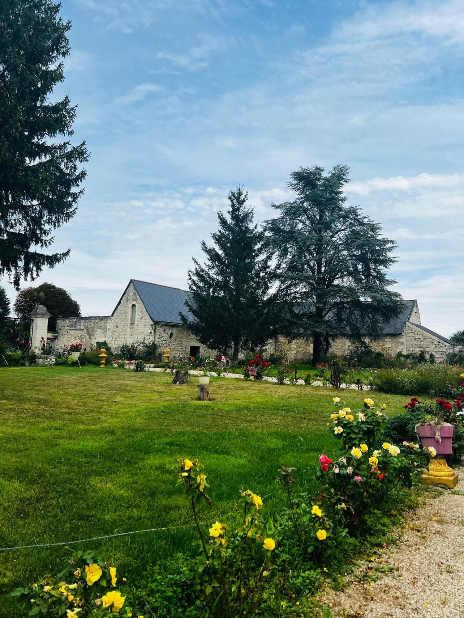 Chateau De La Thibaudiere - Chambre Du Tonneau Allonnes  Экстерьер фото